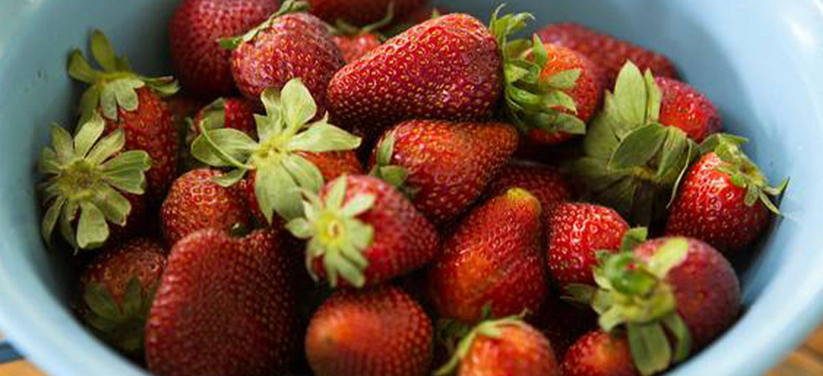 Food Wise: Summer Berries