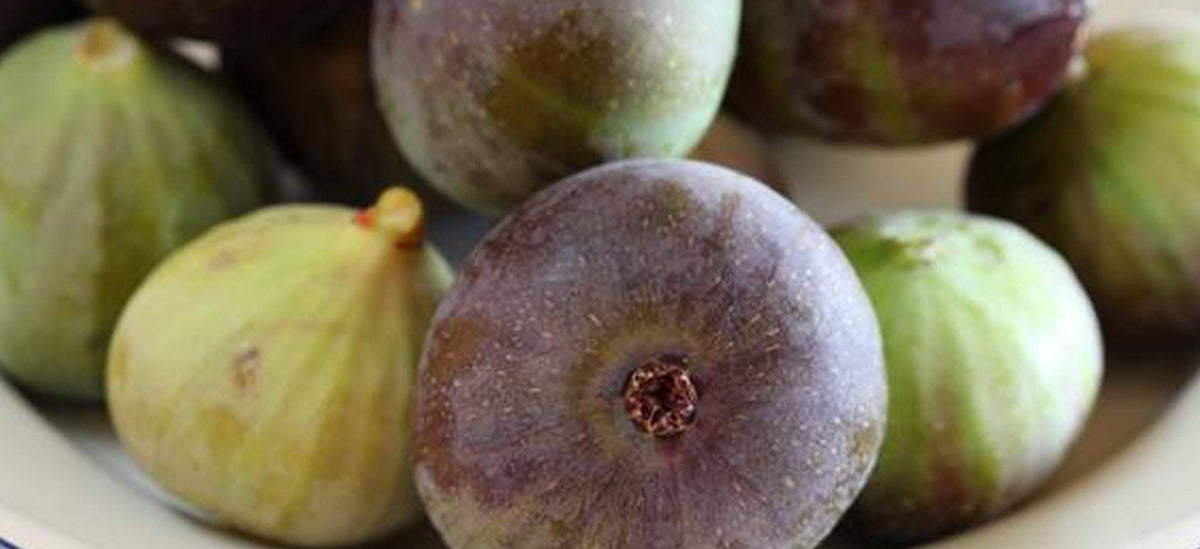 In The Garden: Figs
