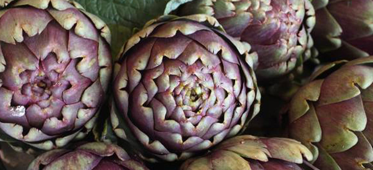 Maggie's Favourite Spring Ingredients