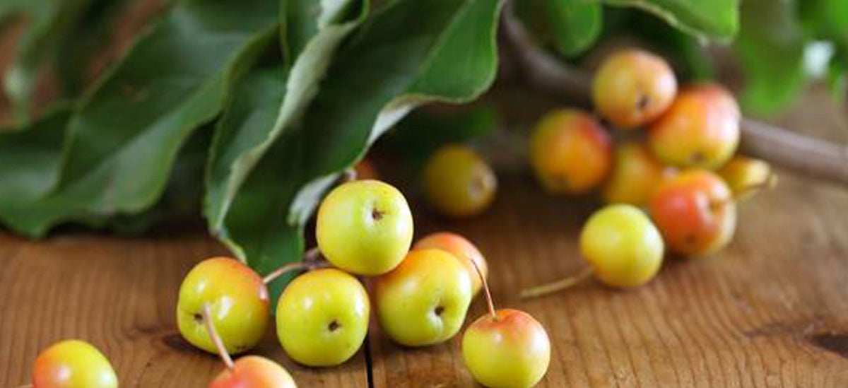 What's In Season