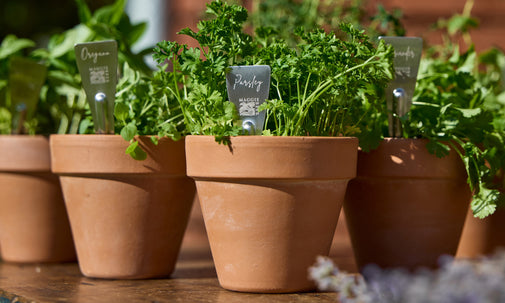 Herb Stakes