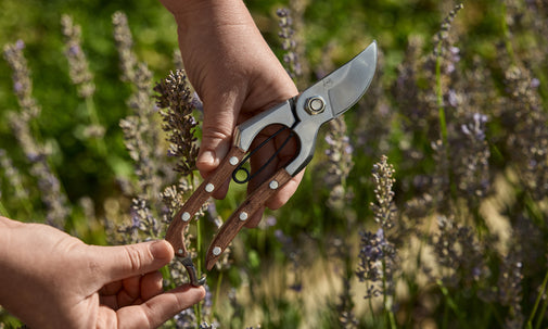 Pruning Secateurs