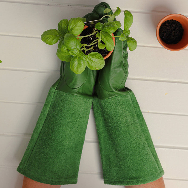 Classic Leather Gardening Gloves S/M