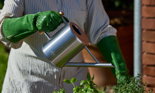 Watering Can