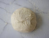 Basic Pizza Dough Recipe