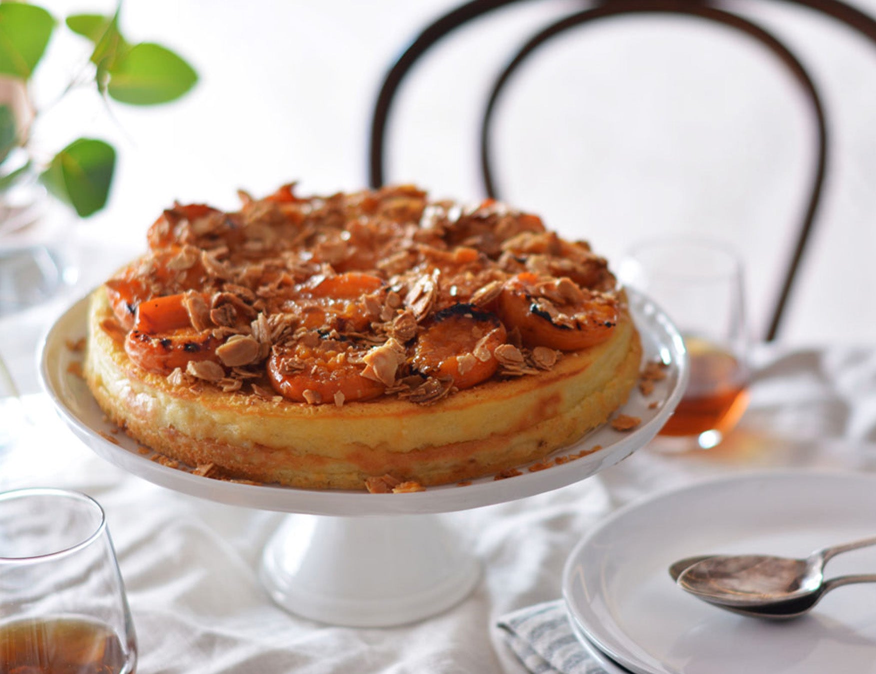 Sicilian Style Apricot Cheesecake Recipe